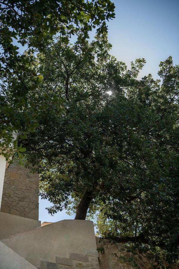 Velanis Ηouse, Style Into Nature - Secluded Kíssamos Extérieur photo